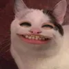 n_viet.22