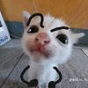 atiqa_longkali