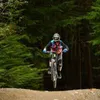 andreivladulescu8