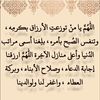 user3681441296206