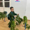 babystore15