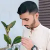 samiullah.khan.sa8