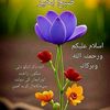 shotokhan33