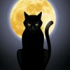 cat92980