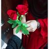 fatimazanib22
