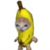 tianxvninglvr_