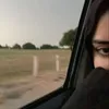 zainap20122013