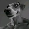 kega.gegachal