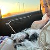 sky_shih_poo