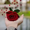 ____k674