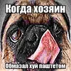 kocherga_is_pechi