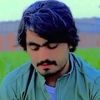 armane.wazir.122