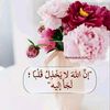 wadadam764
