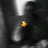 user74478102245736