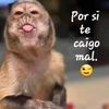 barnechea.rodrigo