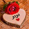 user195161952131