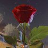 saqibbaloch2236