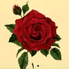 uoor__44
