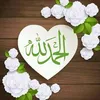user81056840375196