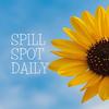 SpillSpot