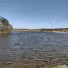alecsander1132