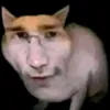 ogyrek_ogyrenok00152