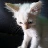 user2zavier