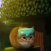 ninjagakf1
