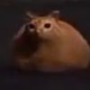 bruh_doggo