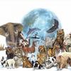 Animal.world.kingdom