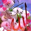fethi.bnzina