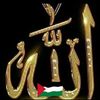 user584735082