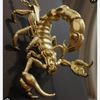alscorpion3