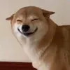 kwengisntinlove