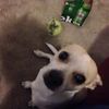 cubone715