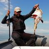 bobrees.fishing.go