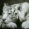 kk.zaki6