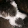 cik_sue_0