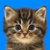 kipping_123