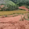 grasialinda