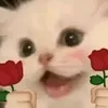 tinhhoa298