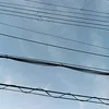 akuma101412