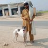 asif.mohny.khel