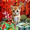 thai.nguyen874