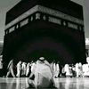ali215440