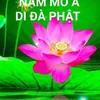 nhuanmai.47