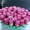 fx_reha20