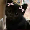 anty_npc