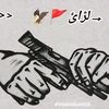 ameer.haider391