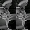 zzxw_mira